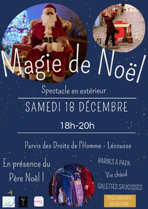 Magie de Noël - Pass sanitaire_page-0001